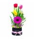 Box de Tulipanes